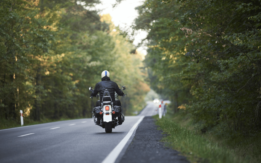 A motorcyclist rides away on a forest-lined road,surrounded by nature.