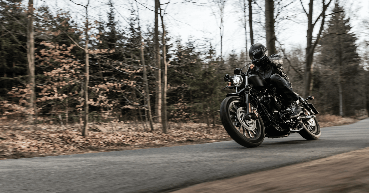 A motorcyclist in full black attire rides along a forest-lined road